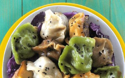 Best Dumplings in Geelong – The Li’l Dumpling Van, Forte Magazine